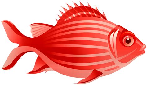 clipart red fish|red fish png transparent.